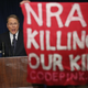 A demonstrator from CodePink holds up a banner as National Rifle Association Executive Vice President Wayne LaPierre delivers remarks during a news conference at the Willard Hotel in Washington, D.C., on Dec. 21, 2012. (Chip Somodevilla/Getty Images)